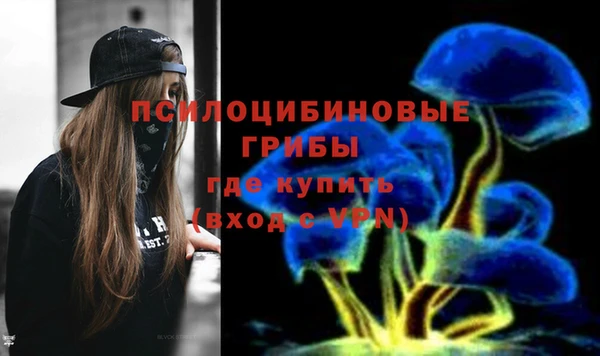тгк Алексин
