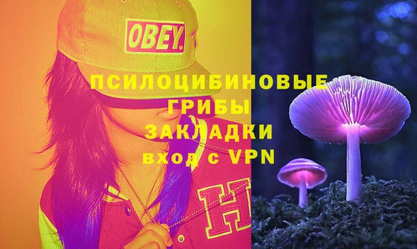 тгк Алексин